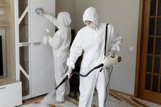 24/7 Emergency Odor Removal experts in Springville, UT