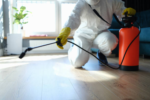 Reliable Odor Removal contractor in Springville, UT by Trauma Clean Pros